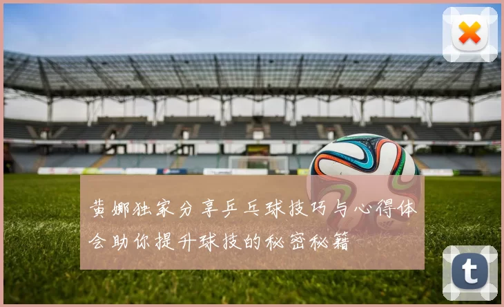 黄娜独家分享乒乓球技巧与心得体会助你提升球技的秘密秘籍