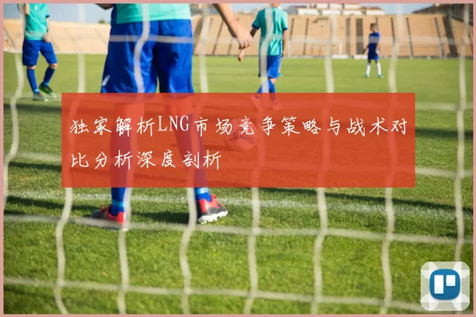独家解析LNG市场竞争策略与战术对比分析深度剖析