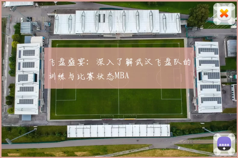 飞盘盛宴：深入了解武汉飞盘队的训练与比赛状态MBA