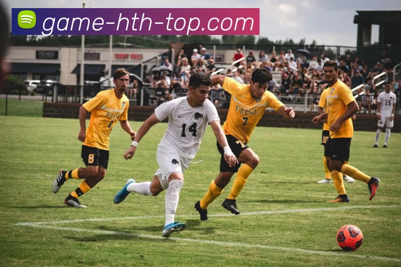 hth华体会APP 体育赛事宣传图